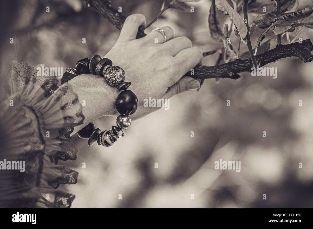Close up of Gypsy Woman Style bracelet avec les mains avec de grands ornements en noir et blanc, et en saisissant une branche d'arbre orange Banque D'Images