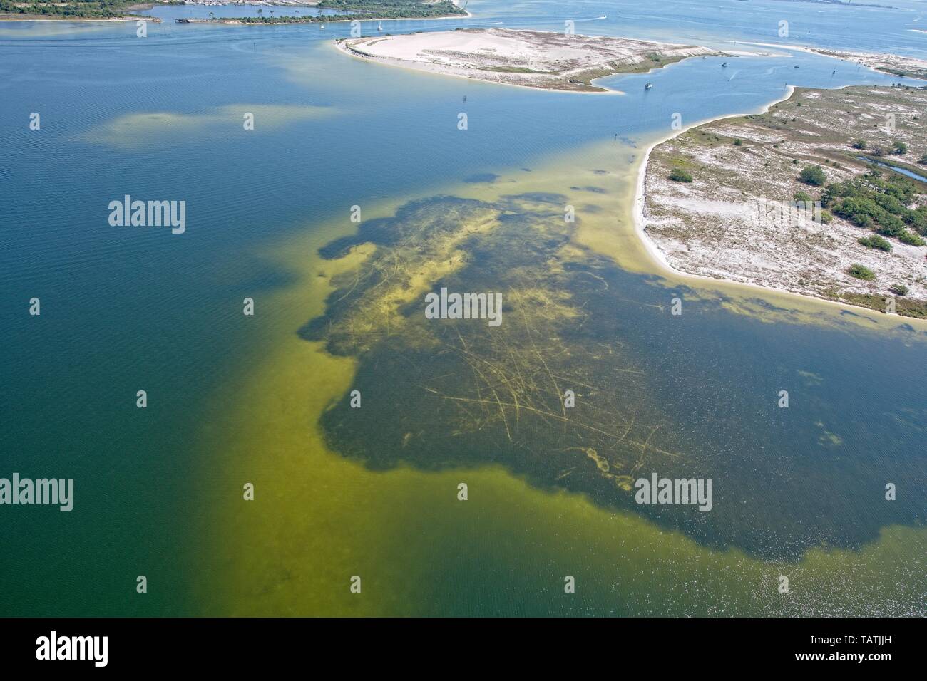 Une vue aérienne de Pensacola Beach, Florida, USA Banque D'Images