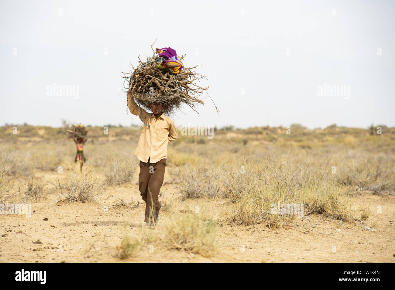 Les pauvres et les jeunes enfants sont le transport de lourdes bottes de bois sec sur la tête au milieu du désert du Thar, Jaisalmer, Rajasthan, Inde. Banque D'Images