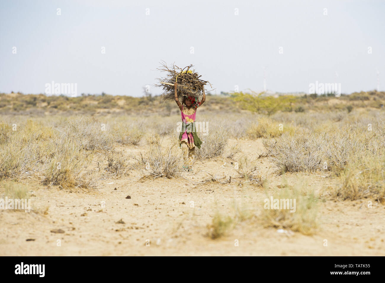 Un pauvre et jeune fille est le transport de lourdes bottes de bois sec sur la tête au milieu du désert du Thar. Banque D'Images