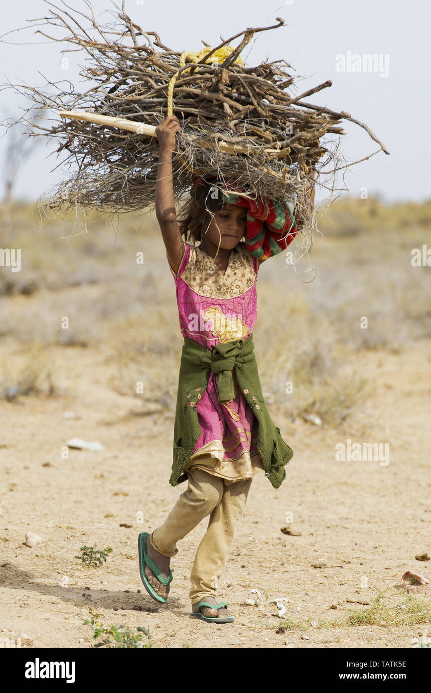 Un pauvre et jeune fille est le transport de lourdes bottes de bois sec sur la tête au milieu du désert du Thar. Banque D'Images