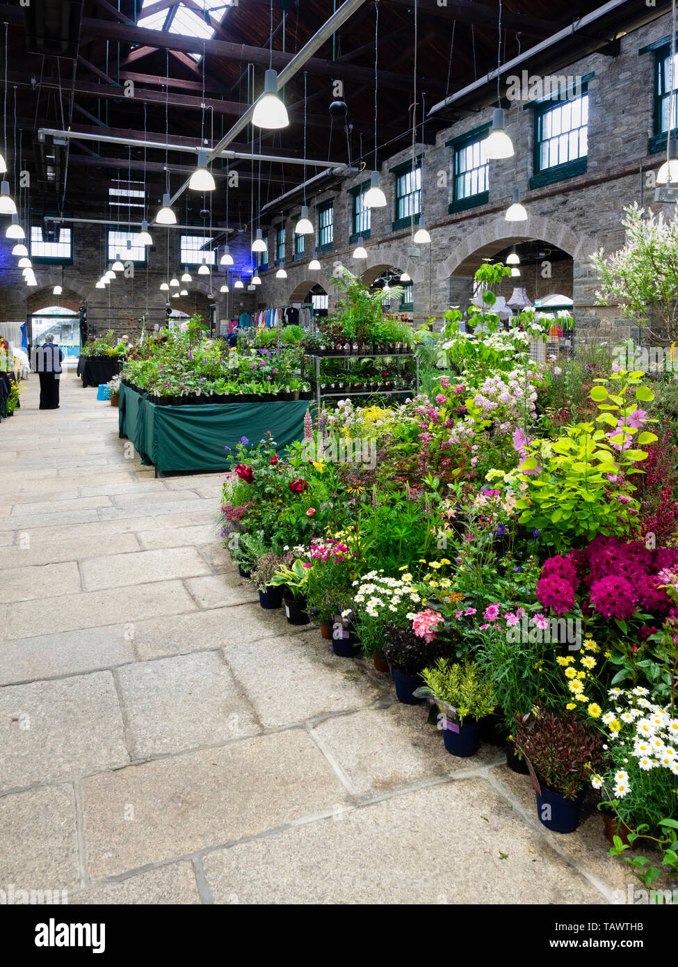 Cale pour Tavistock Garden Festival, mai 2019, lors de l'historique Bâtiment victorien dans le marché de Pannier Devon, UK town Banque D'Images