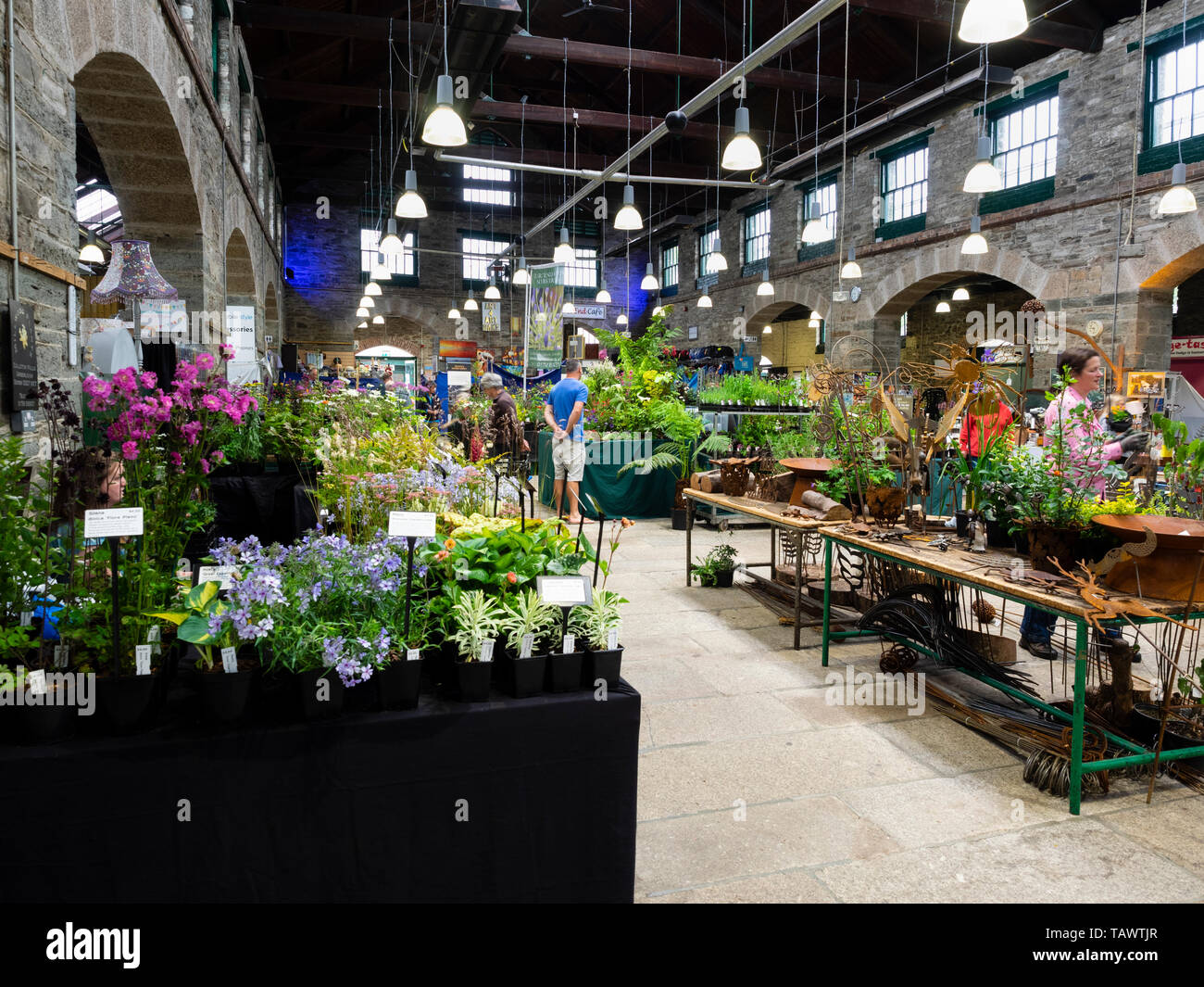 Cale pour Tavistock Garden Festival, mai 2019, lors de l'historique Bâtiment victorien dans le marché de Pannier Devon, UK town Banque D'Images