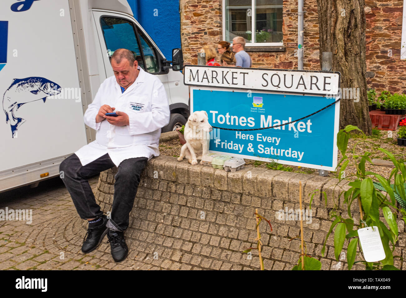 Poissonnier vérifie son téléphone au marché de Totnes, TOTNES, Devon Banque D'Images