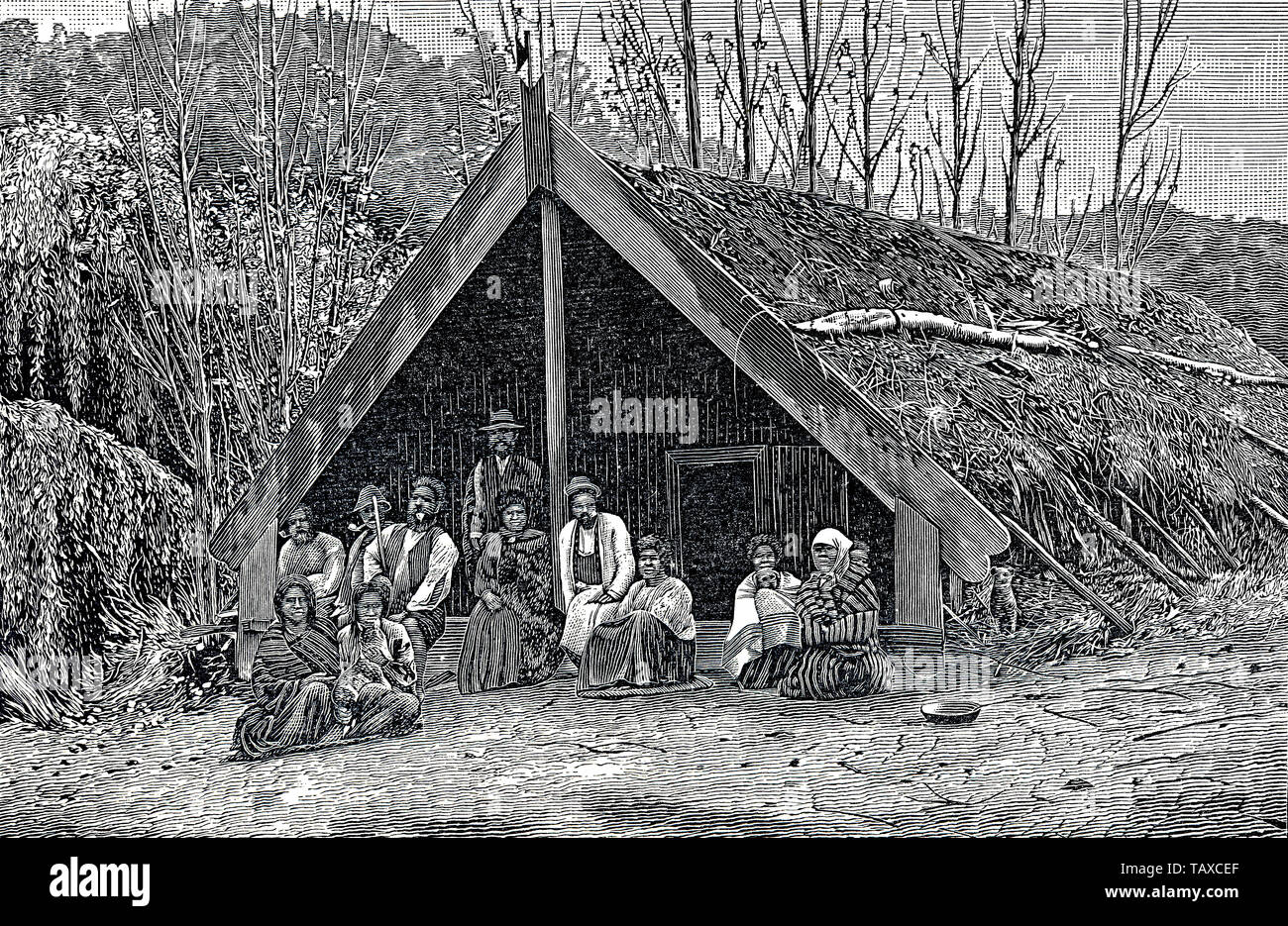 Cabane de maoris (Nouvelle-Zélande), gravure historique du 19ème siècle, Eine Hütte der Maori, États-Unis, historischer Stich aus dem 19. Jahrhundert, Banque D'Images