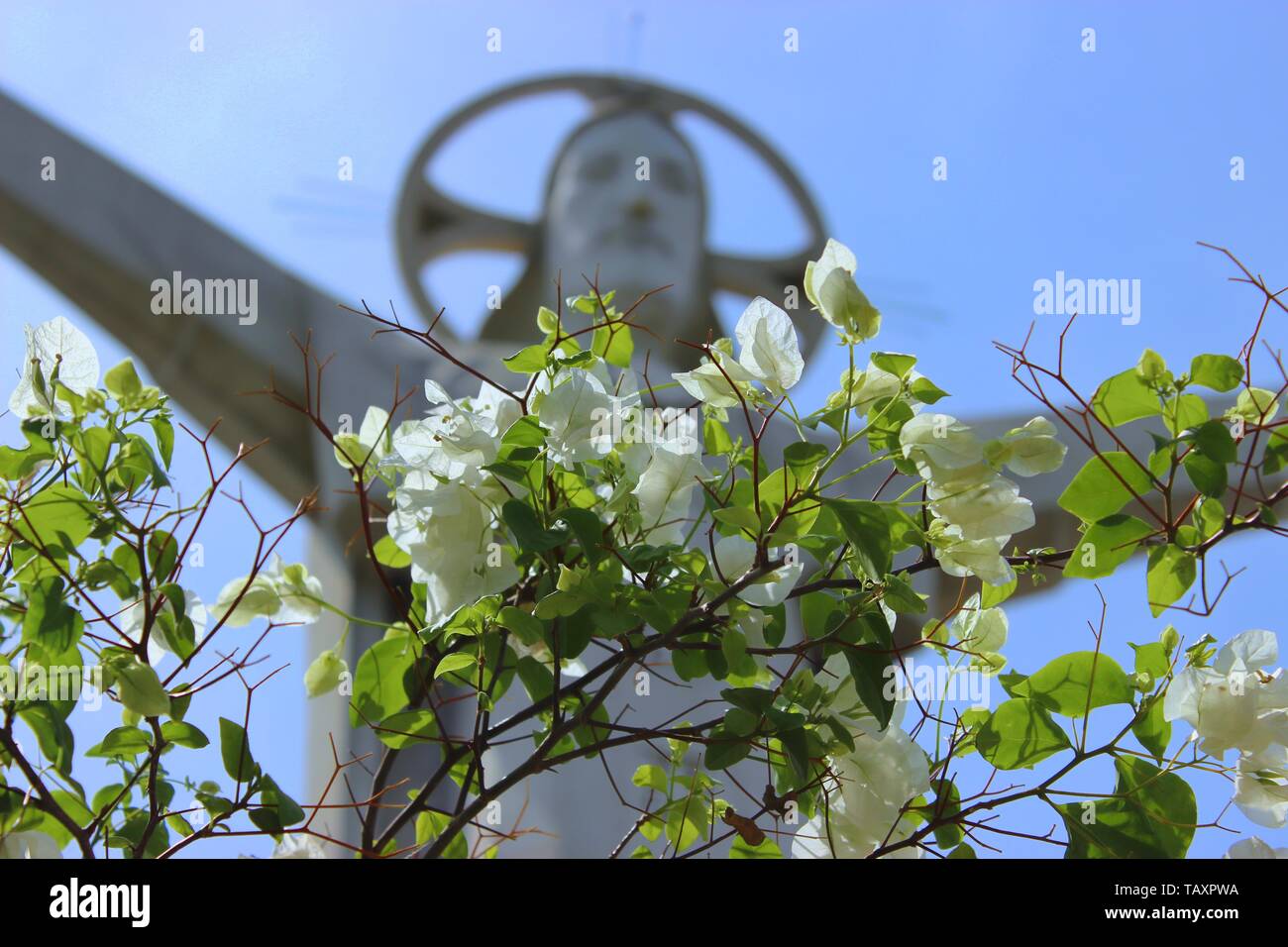 Jésus Christ Statue de Vung Tau, Vietnam Banque D'Images