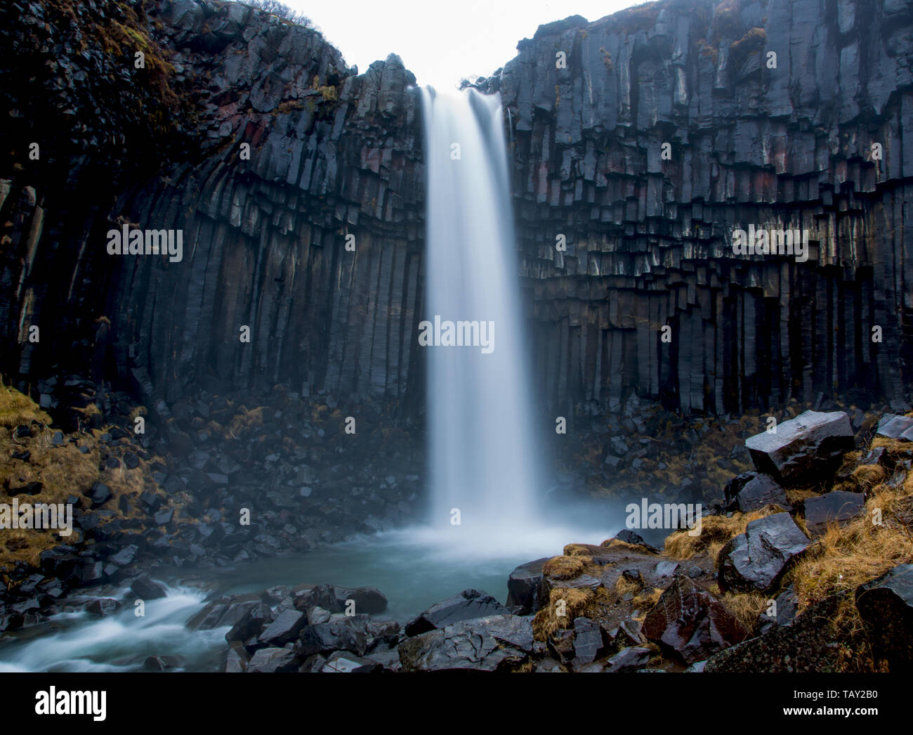 Cascade de Svartifoss entourée de colonnes de basalte dans le sud de l'Islande, l'effet voile mystique Banque D'Images