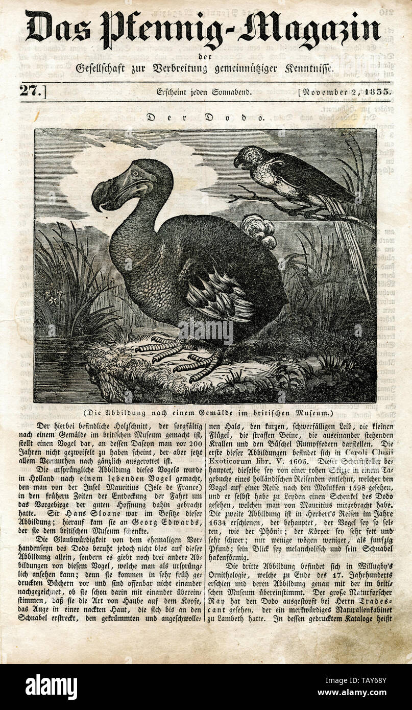 Dodo, couvrir de la 'Raphus cucullatus, Pfennig-Magazin" (magazine, 1833) Banque D'Images