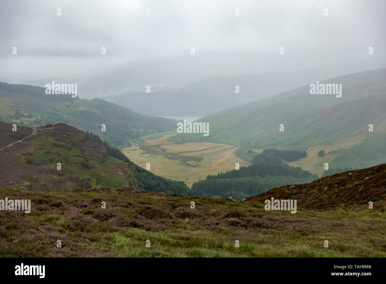 Voir l'Lough Tay (le lac Guinness) dans le Parc National des Montagnes de Wicklow, Wicklow, Irlande. Co. Banque D'Images