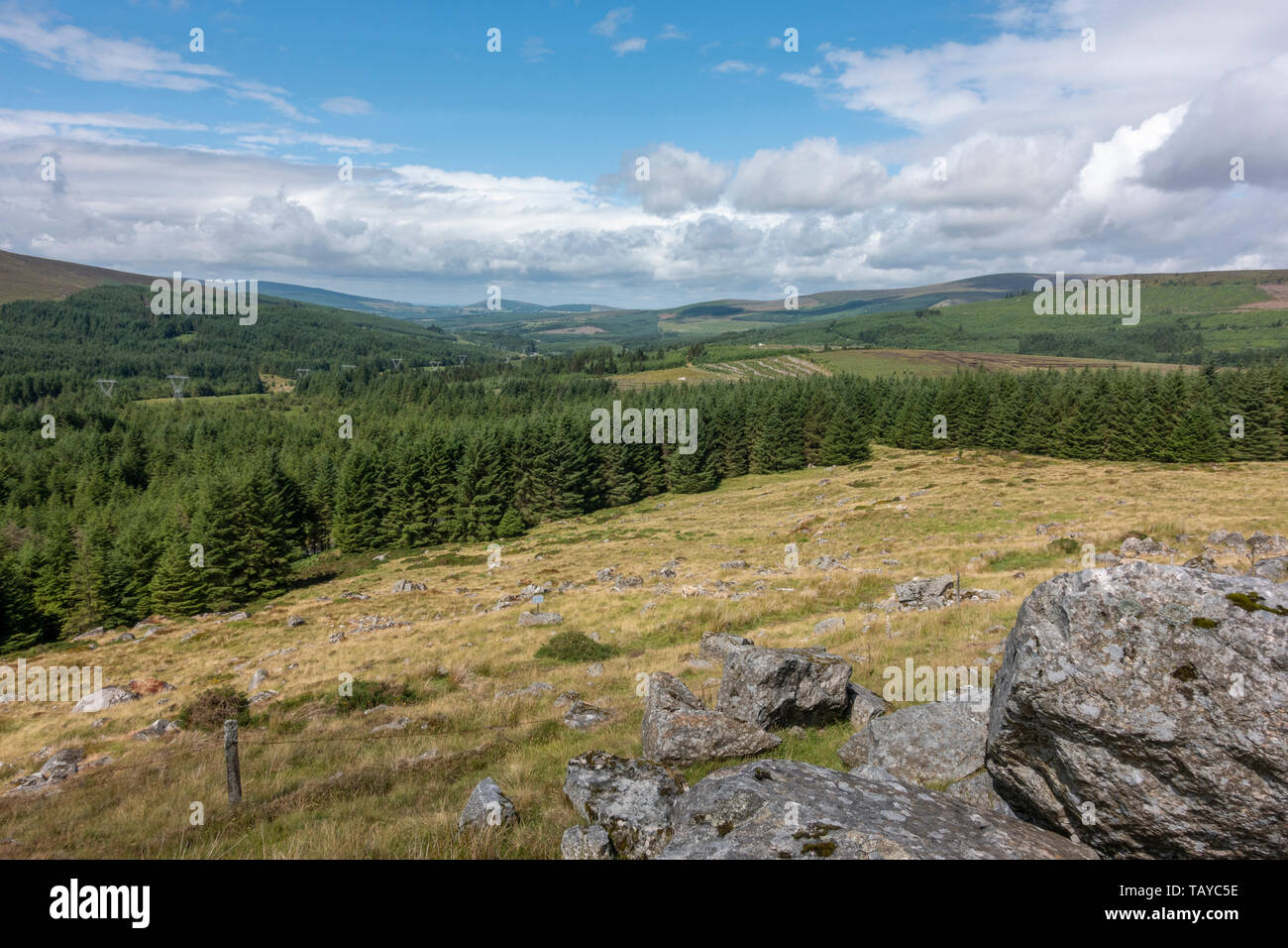 Vue depuis le Wicklow Gap à l'ouest de Turlough Hill sur le bord du Parc National des Montagnes de Wicklow, Wicklow, Irlande. Co. Banque D'Images