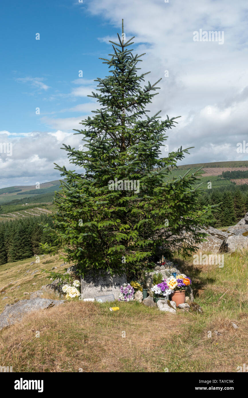 Mémorial de la route sur Wicklow Gap à l'ouest de Turlough Hill sur le bord du Parc National des Montagnes de Wicklow, Wicklow, Irlande. Co. Banque D'Images
