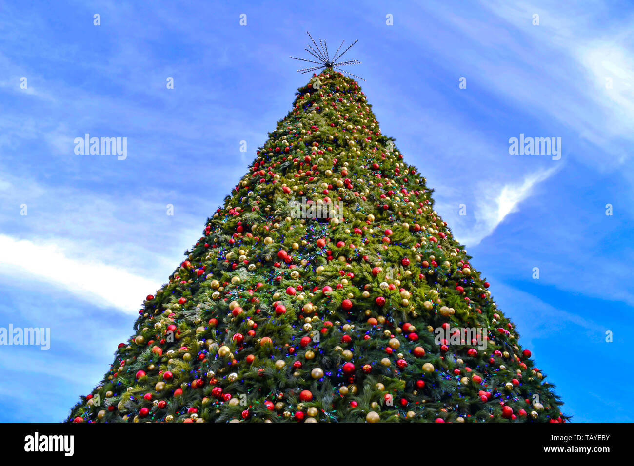 Orlando, Floride . 24 Décembre, 2018. Vue du dessus de l'arbre de Noël dans la région de Lake Eola Park au centre-ville d'Orlando. Banque D'Images