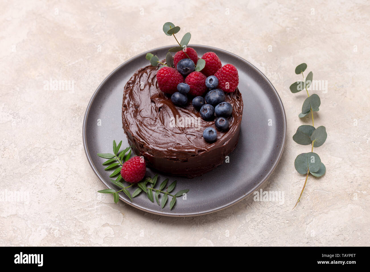 Vue latérale du gâteau d'anniversaire chocolat avec décor de baies fraîches et de feuilles vertes. Bannière horizontale Banque D'Images Vue latérale du gâteau d'anniversaire chocolat avec décor de baies fraîches et de feuilles vertes. Bannière horizontale Banque D'Images