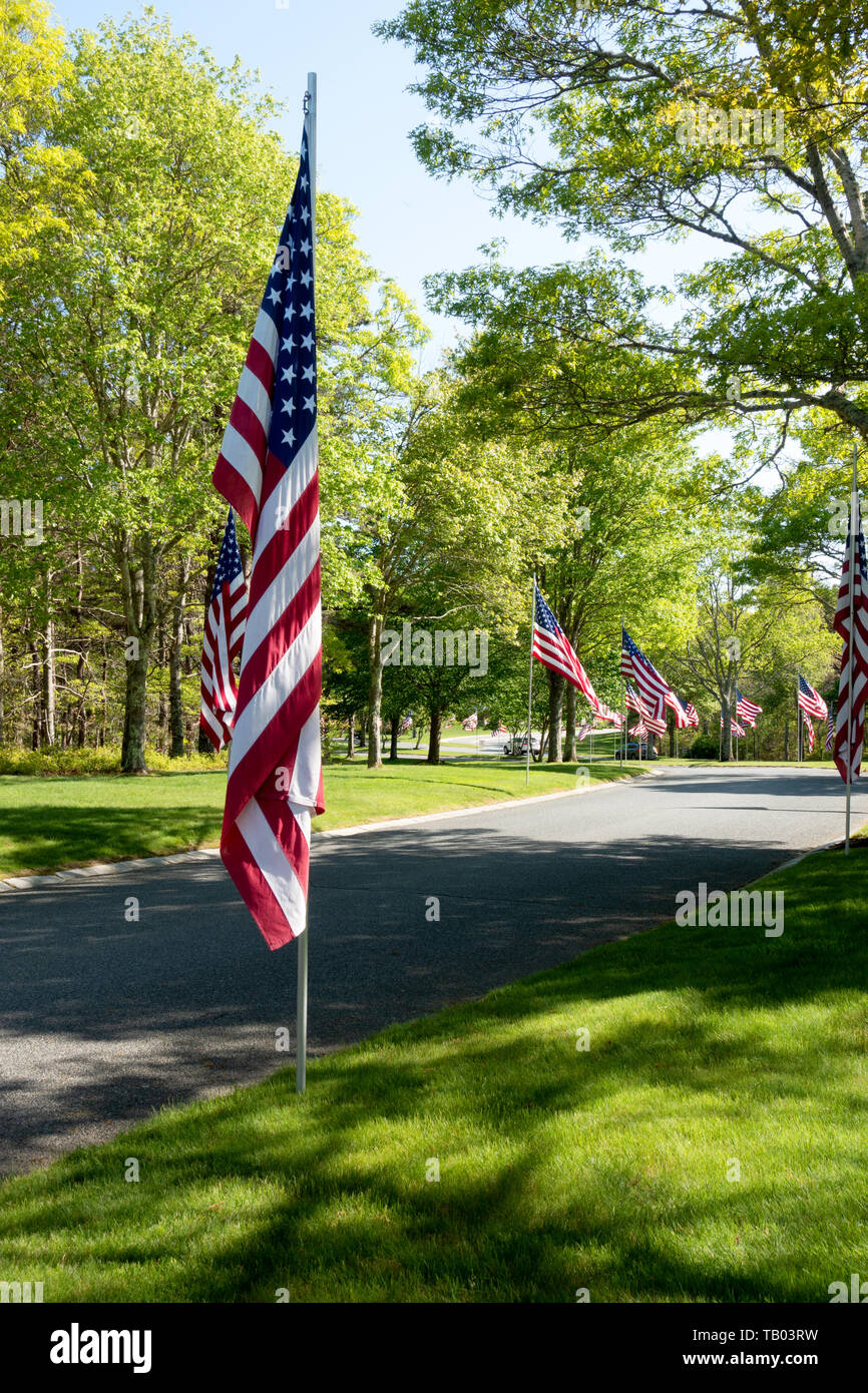 Route bordée d'un drapeau à l'échelle nationale dans le cimetière d'anciens combattants pour le Massachusetts Bourne Memorial Day Banque D'Images