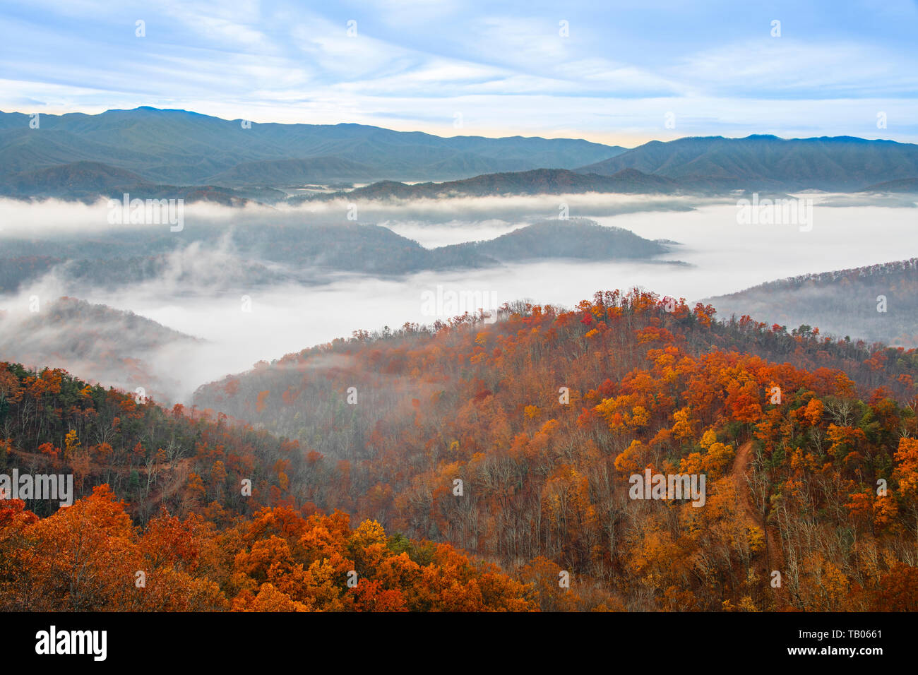 Le Parc National Des Great Smoky Mountains Banque D image Et Photos Alamy le-parc-national-des-great-smoky-mountains-banque-d-image-et-photos-alamy