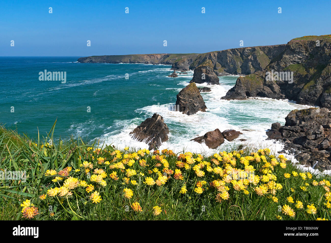 Bedruthan steps, côte nord, Cornwall, Angleterre, Grande-Bretagne, Royaume-Uni Banque D'Images