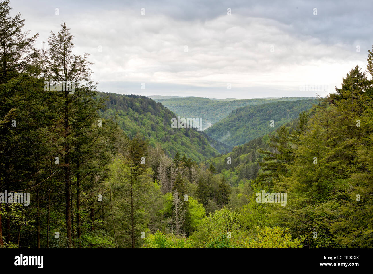 Vue sur les montagnes entre la rivière Blackwater, qui s'écoule, au cours d'une journée nuageuse Banque D'Images