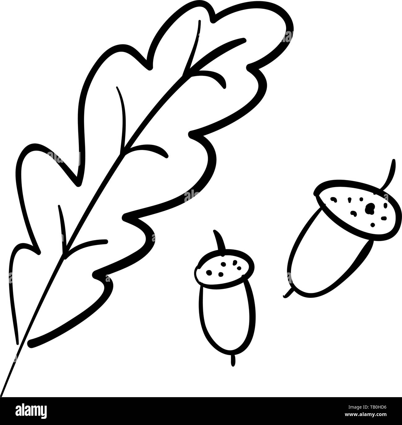 Le chêne. Direction générale. Les glands et les feuilles isolées sur fond blanc mug Illustration de Vecteur