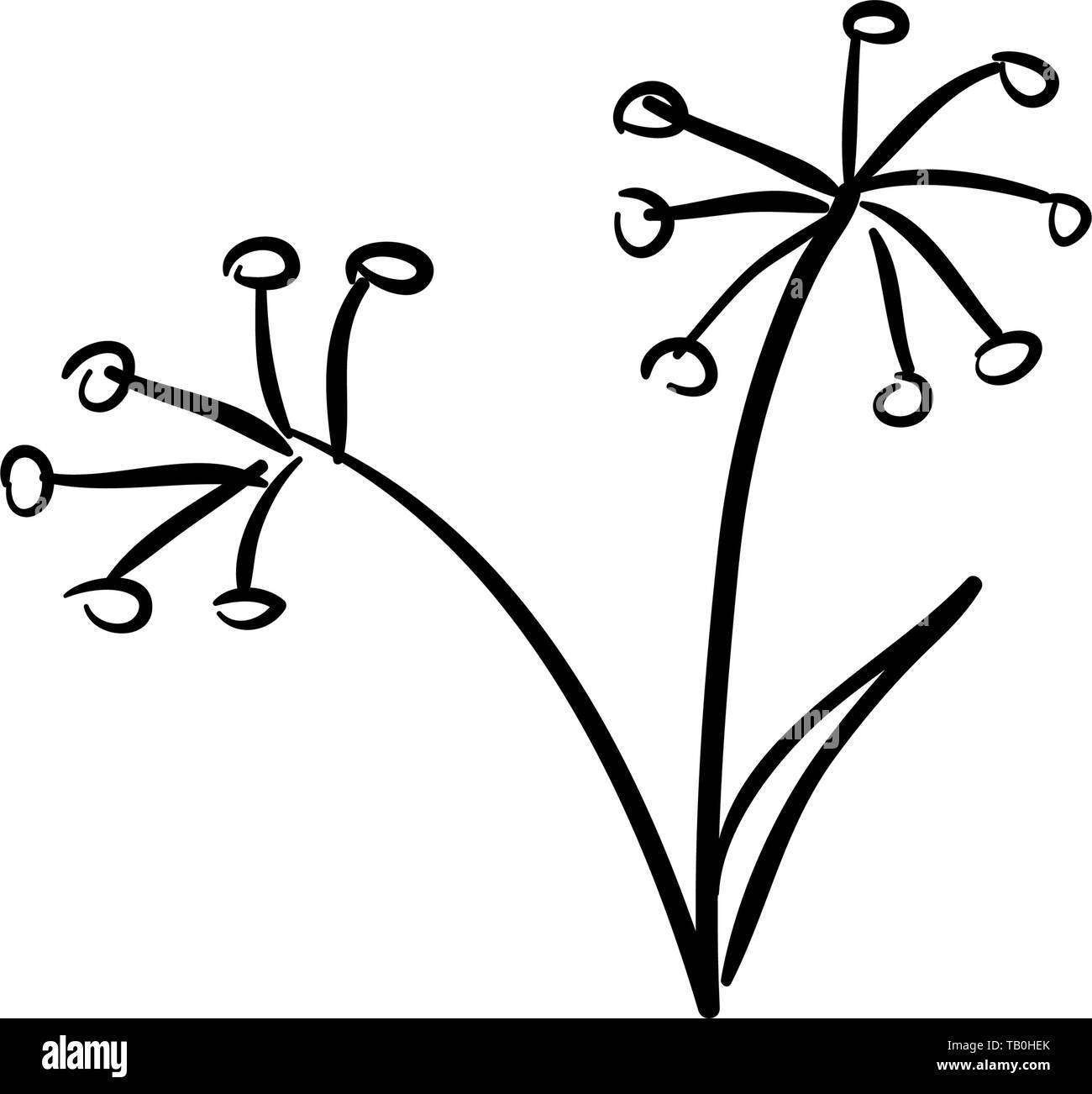 Bouquet de fenouil sauvage isolé sur fond blanc style croquis. Le camping. Plume d'encre Illustration de Vecteur