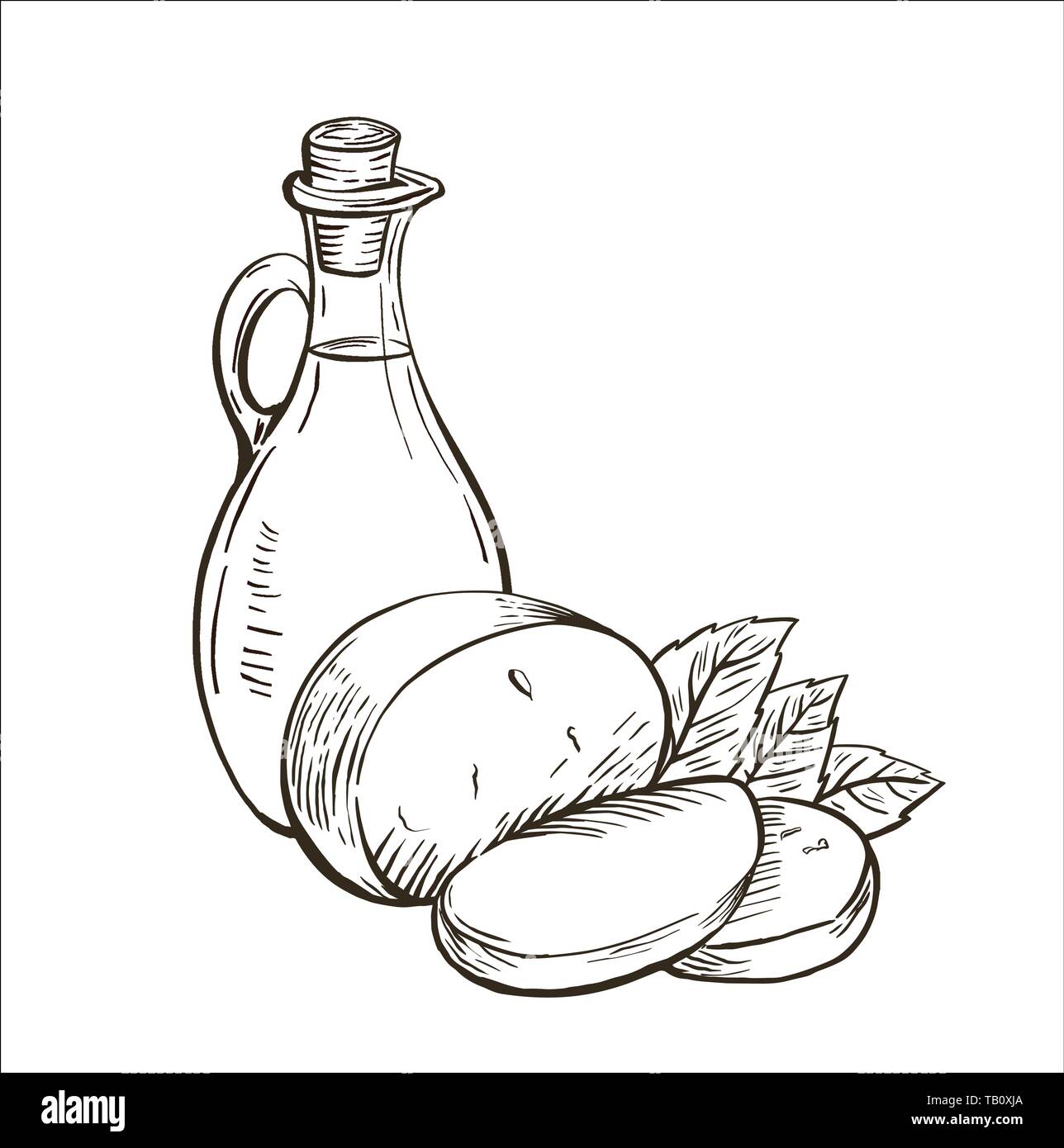 L'huile d'olive dans la bouteille en verre avec du fromage mozzarella et de feuilles de basilic. Cuisine italienne. Élément de design dessiné à la main. Vintage vector illustration pour la gravure Illustration de Vecteur