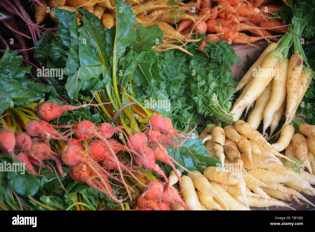 Variété de légumes sur une échoppe de marché, Friarsgate, Winchester Banque D'Images