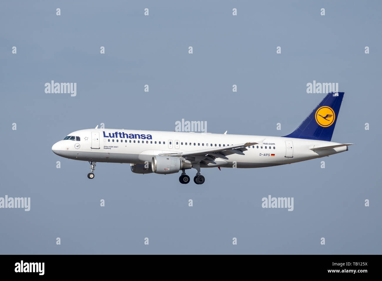 Munich, Allemagne - le 28 février. 2019 : Lufthansa Airbus A320-211 à l'avion immatriculé D-PRA dans l'approche de la partie nord de la piste 26R de l'e Banque D'Images