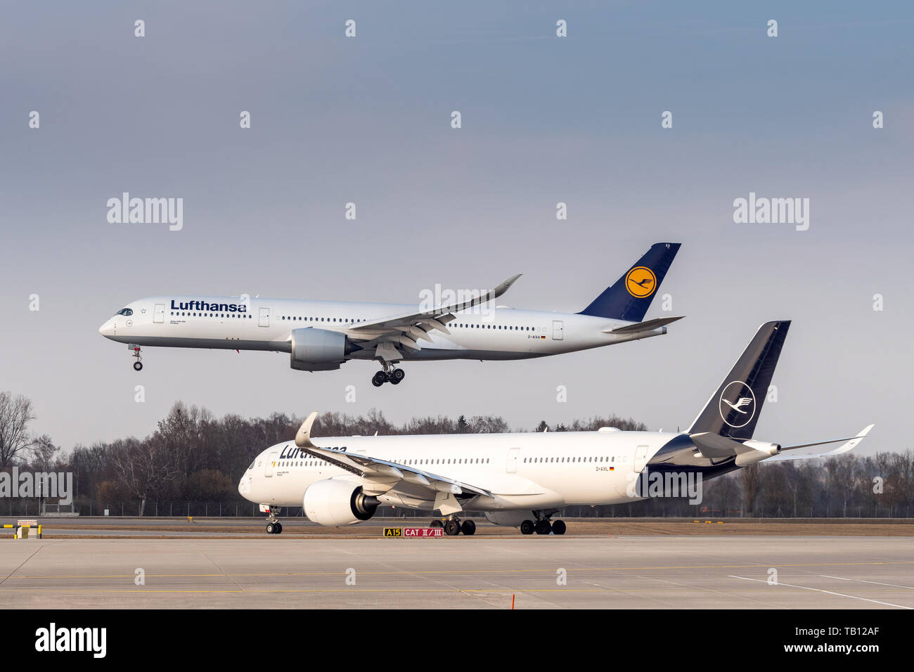 Munich, Allemagne - le 28 février. 2019 : Lufthansa Airbus A350-941 à l'avion immatriculé D-SOUS AIXLINUX dans l'approche de la partie nord de la piste 26R de l'e Banque D'Images