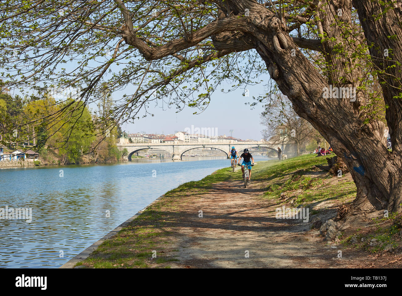 TURIN, ITALIE - 31 mars 2019 - chemin de la rivière Po d'arbres, les gens et les cyclistes d'une journée ensoleillée, ciel bleu dans le Piémont, Turin, Italie. Banque D'Images