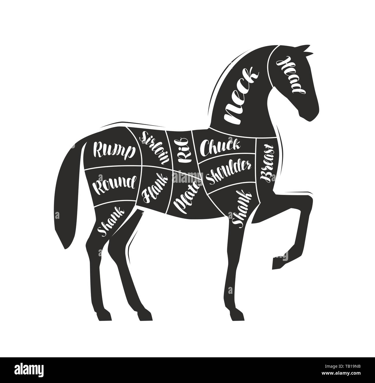 Guide de diagramme pour couper la viande, boucherie. Vecteur cheval Illustration de Vecteur