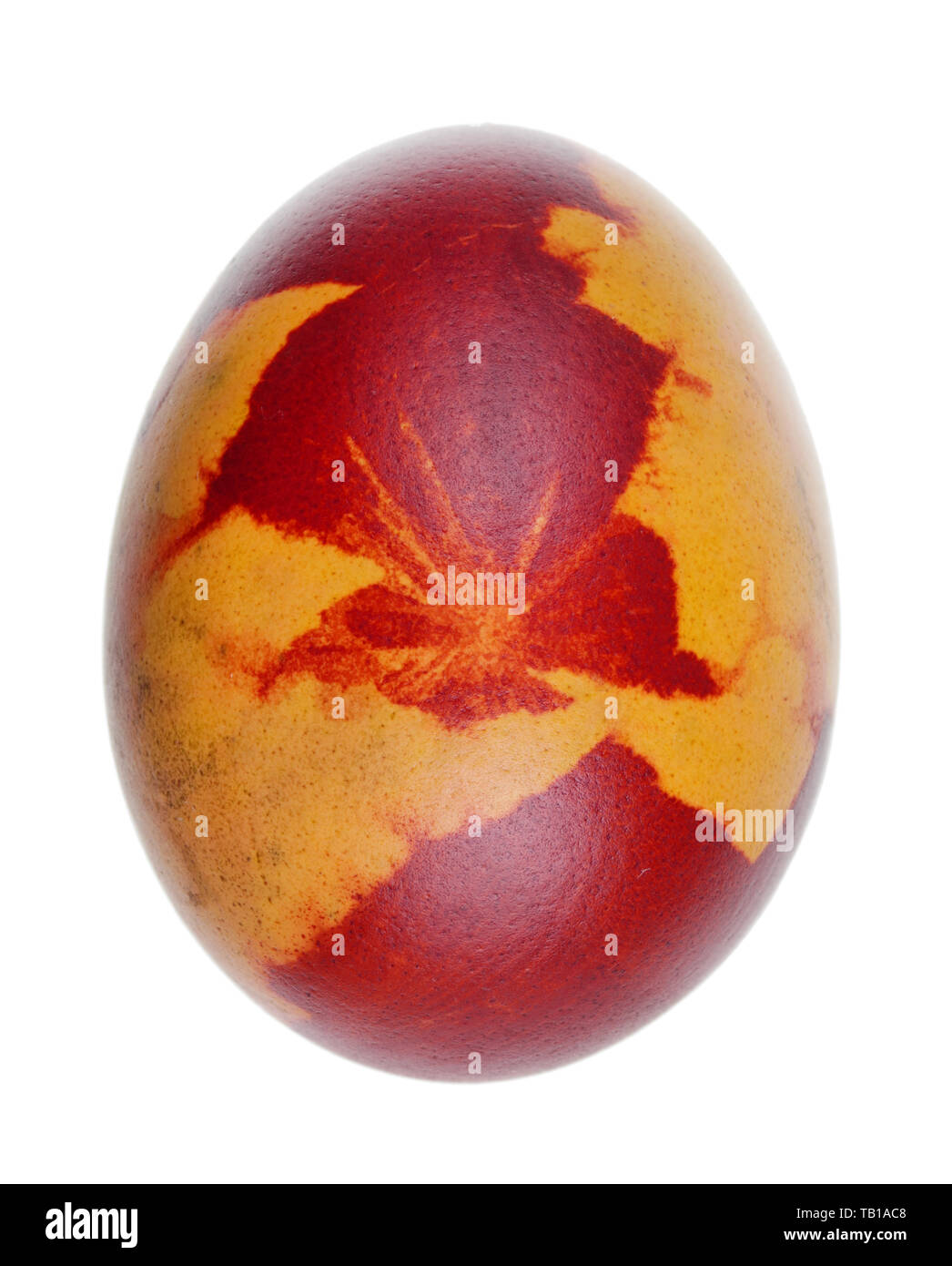 Rural Pâques oeuf de poule bouillie dans avec des pelures d'oignons rouges . Isolé sur blanc macro studio Banque D'Images
