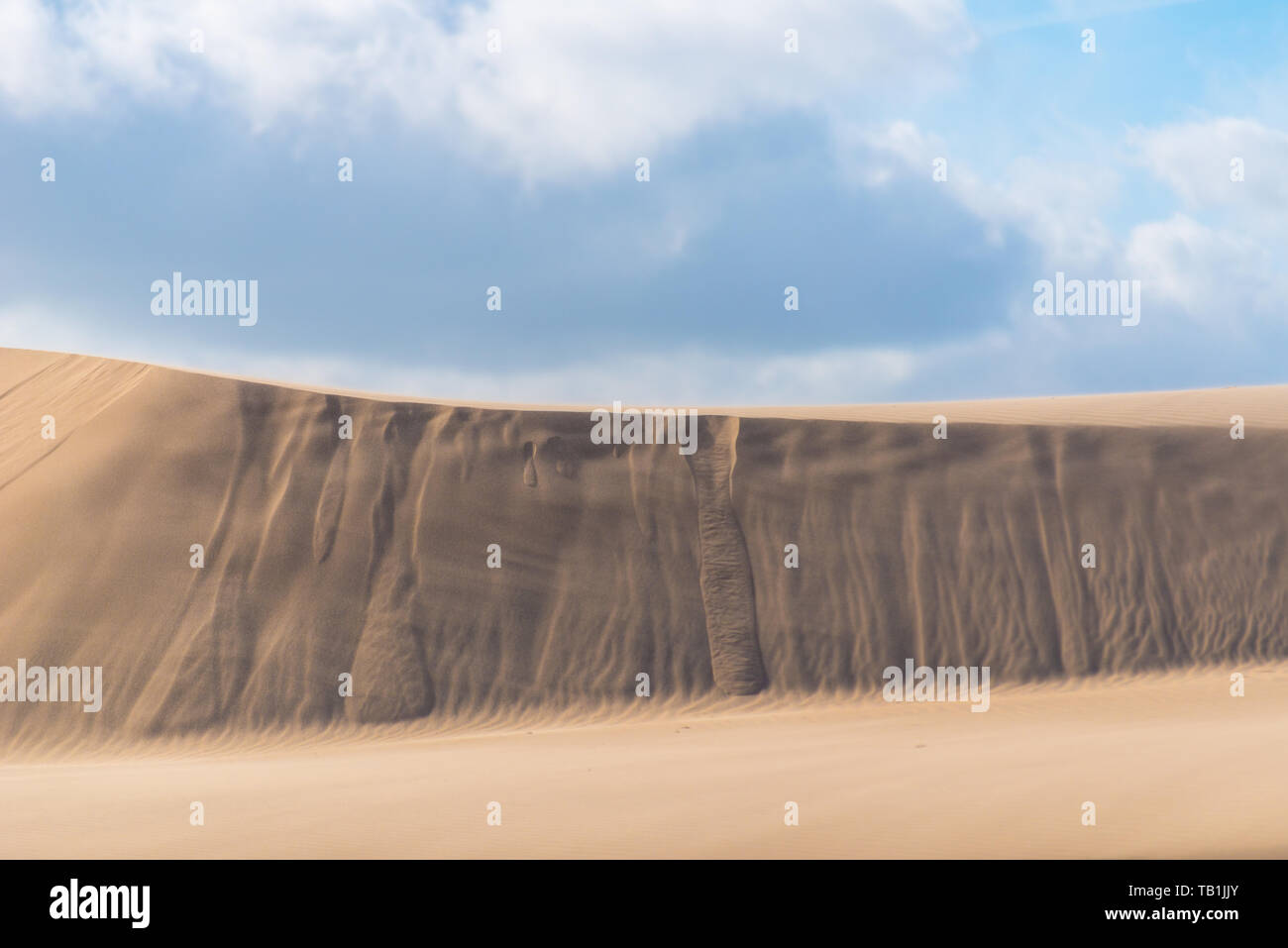 Dunes de sable du désert venteux au Danemark. Les petits cours d'eau de sable montre à quel point les dunes se déplacer. Beau ciel nuageux. Banque D'Images