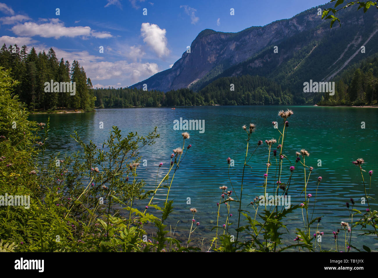 Belle vue sur le lac Tovel, le plus grand de tous les lacs naturels dans le Trentin dans le parc d'Adamello Brenta Banque D'Images