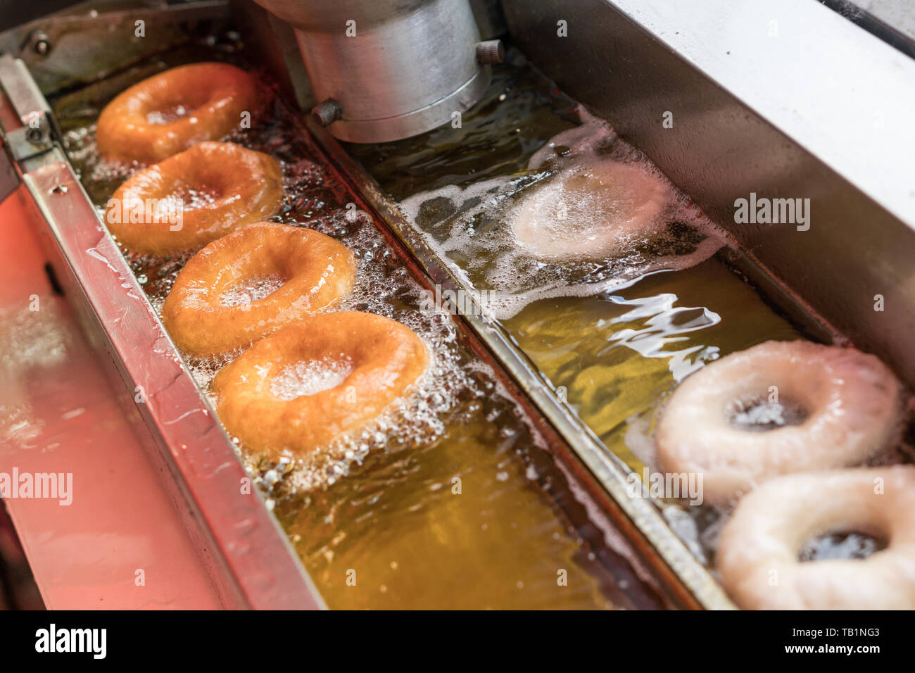 Machine à beignet beignets friture dans l'huile chaude. Junk Food concept malsain Banque D'Images