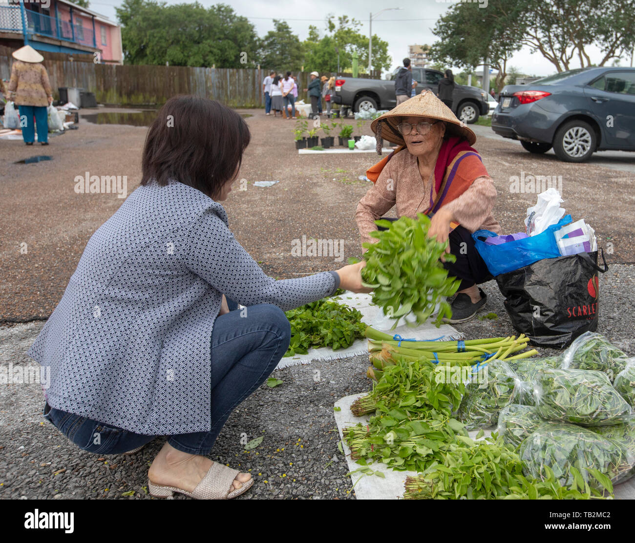 La Nouvelle-Orléans, Louisiane - un marché d'agriculteurs vietnamiens, maintenue pendant quelques heures plus tôt samedi matin dans un parking de la ville, la communauté vietnamienne Banque D'Images