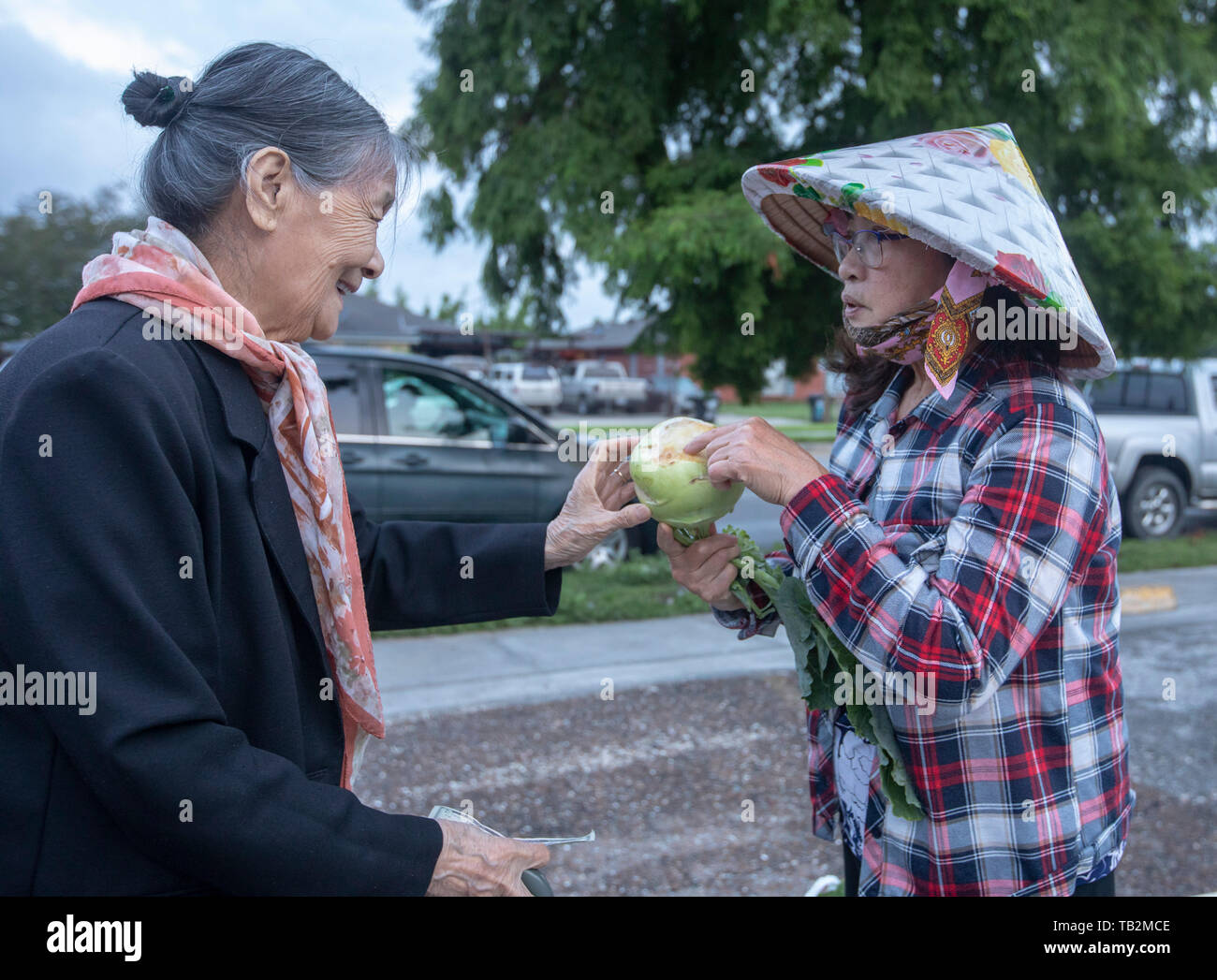 La Nouvelle-Orléans, Louisiane - un marché d'agriculteurs vietnamiens, maintenue pendant quelques heures plus tôt samedi matin dans un parking de la ville, la communauté vietnamienne Banque D'Images