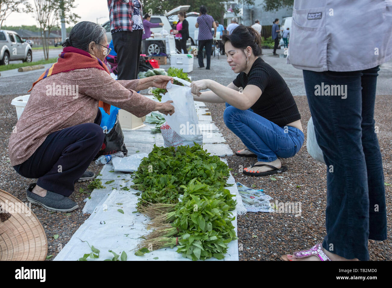 La Nouvelle-Orléans, Louisiane - un marché d'agriculteurs vietnamiens, maintenue pendant quelques heures plus tôt samedi matin dans un parking de la ville, la communauté vietnamienne Banque D'Images