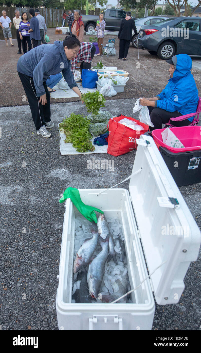 La Nouvelle-Orléans, Louisiane - un marché d'agriculteurs vietnamiens, maintenue pendant quelques heures plus tôt samedi matin dans un parking de la ville, la communauté vietnamienne Banque D'Images