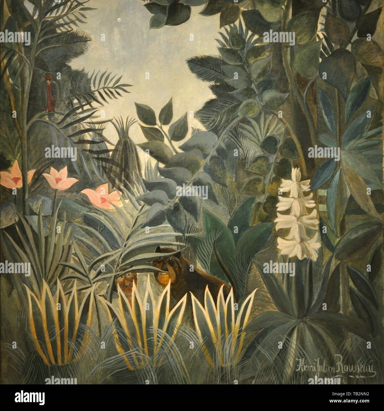 Henri Julien Félix Rousseau dit Le Douanier Rousseau - Jungle équatoriale 1909 Banque D'Images