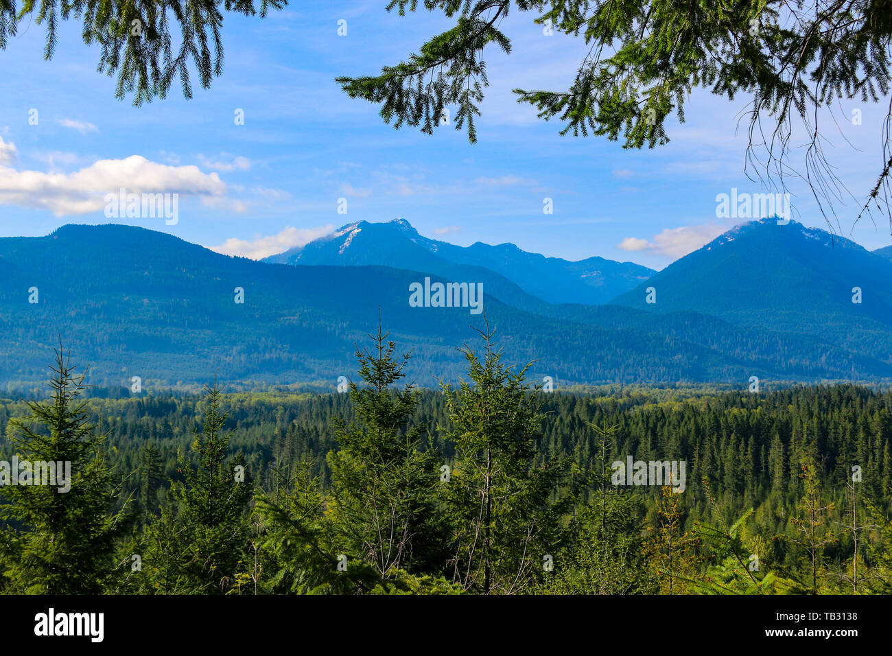 Le Mont Adams, Cascades, Washington Banque D'Images