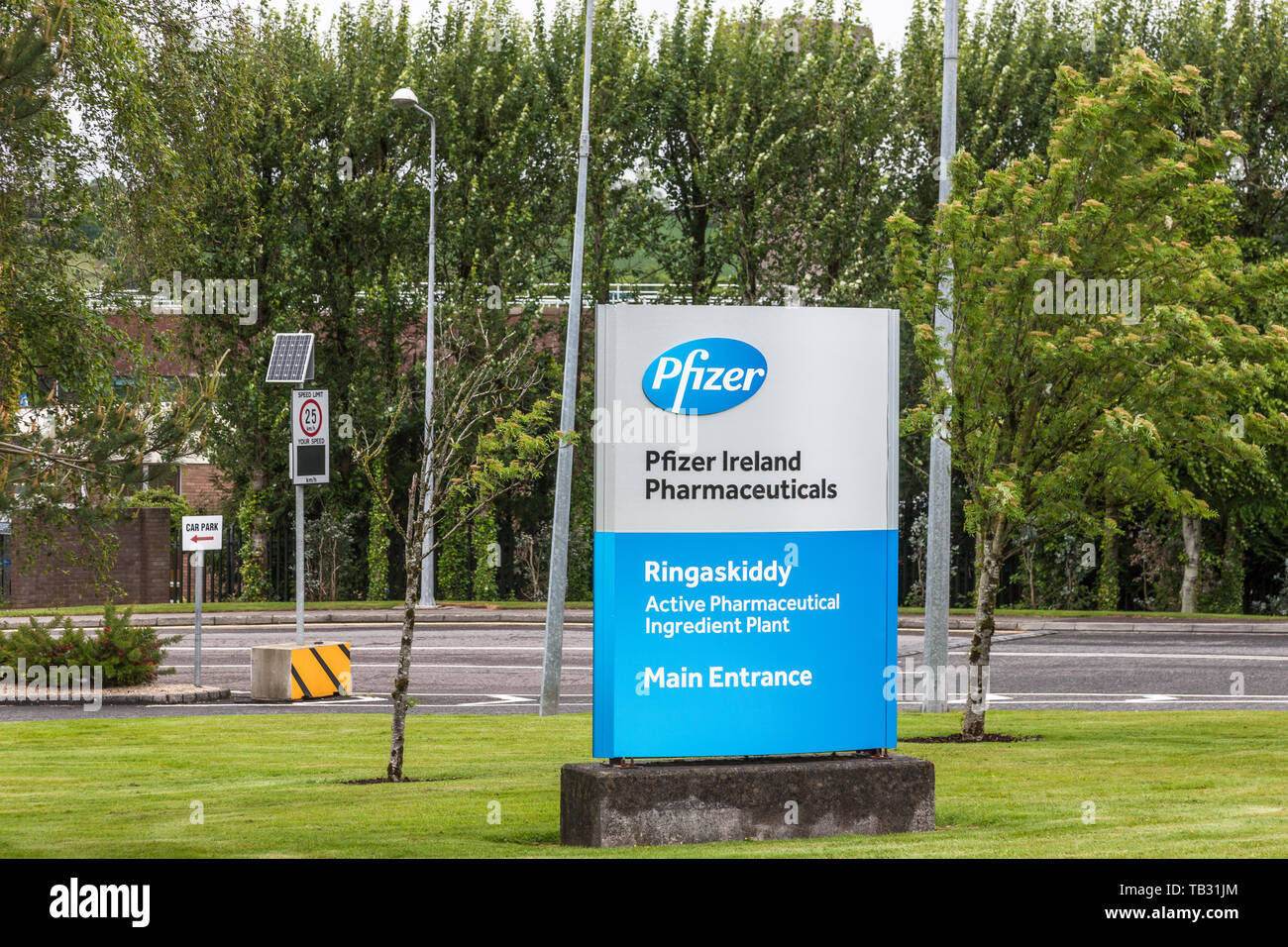 Ringaskiddy, Cork, Irlande. 29 mai, 2019. Pfizer Pharmaceuticals sont ce mois marquant leur 50e anniversaire en Irlande. L'emploi a progressé à partir de Banque D'Images