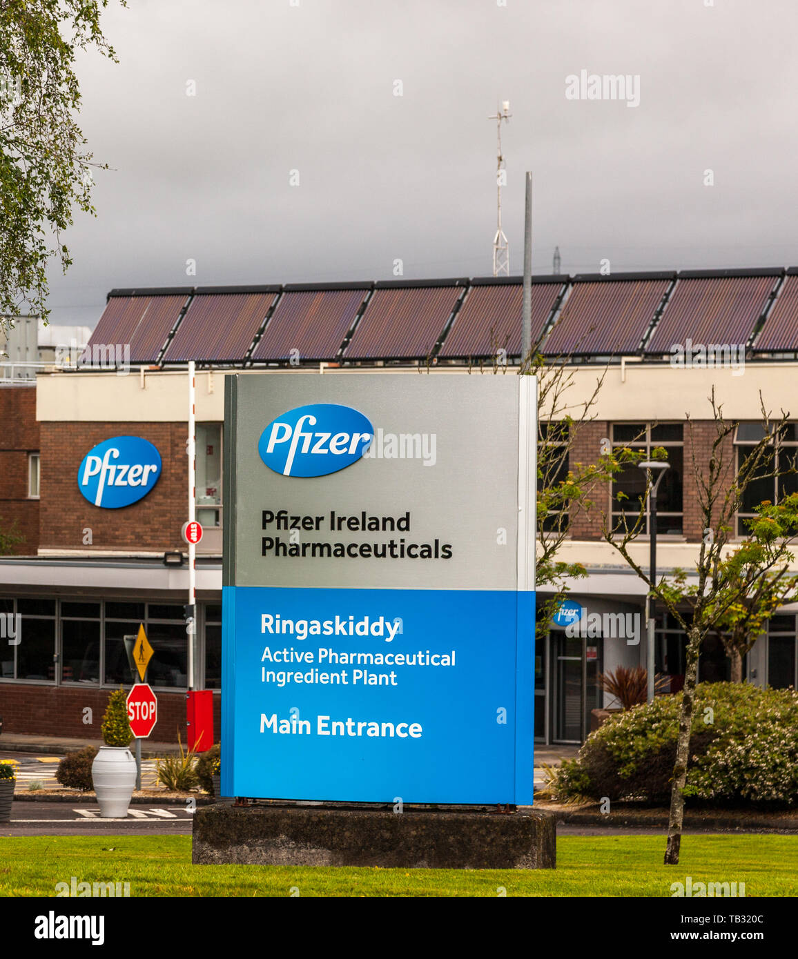Ringaskiddy, Cork, Irlande. 29 mai, 2019. Pfizer Pharmaceuticals sont ce mois marquant leur 50e anniversaire en Irlande. L'emploi a progressé à partir de Banque D'Images