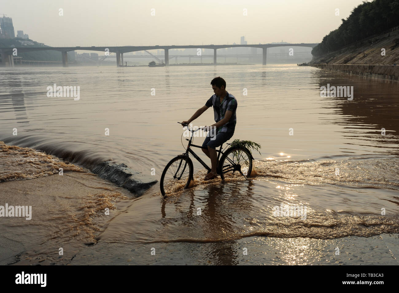 04.08.2012, Chongqing, Chine - un cycliste parcourt les eaux peu profondes de la rivière Yangtze à Chongqing. La mégalopole se situe au confluent de Banque D'Images