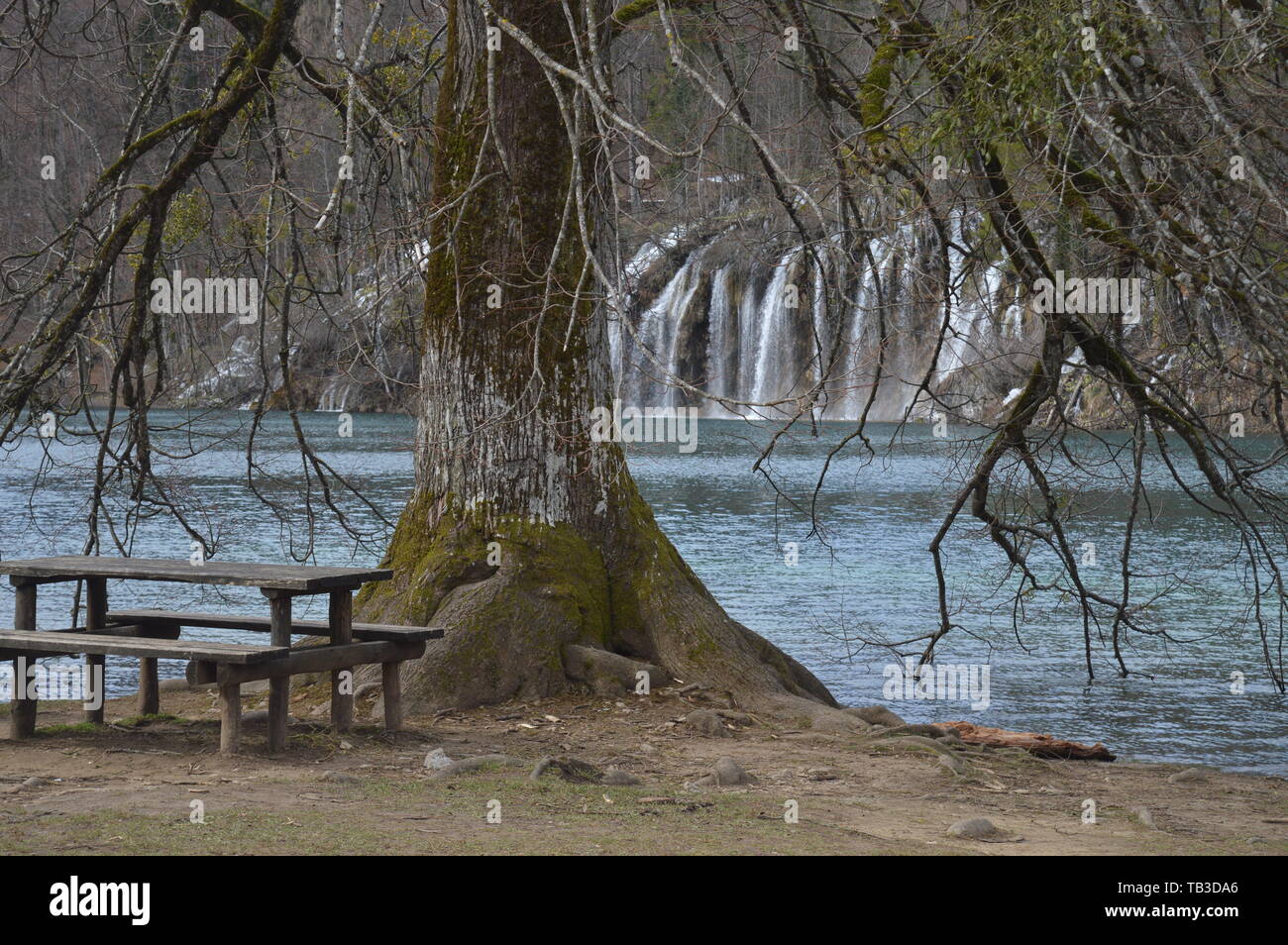 Banc en bois, en vertu de l'arbre avec une chute d'arrière-plan, parc national des Lacs de Plitvice Banque D'Images