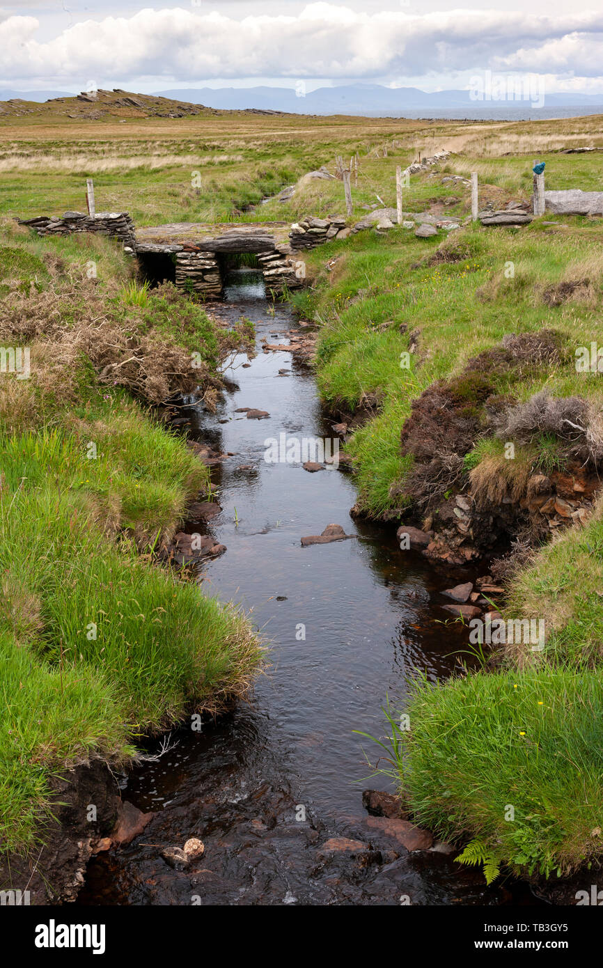 Petit ruisseau à proximité de Saint Brendans bien, Valentia Island, comté de Kerry, Irlande Banque D'Images