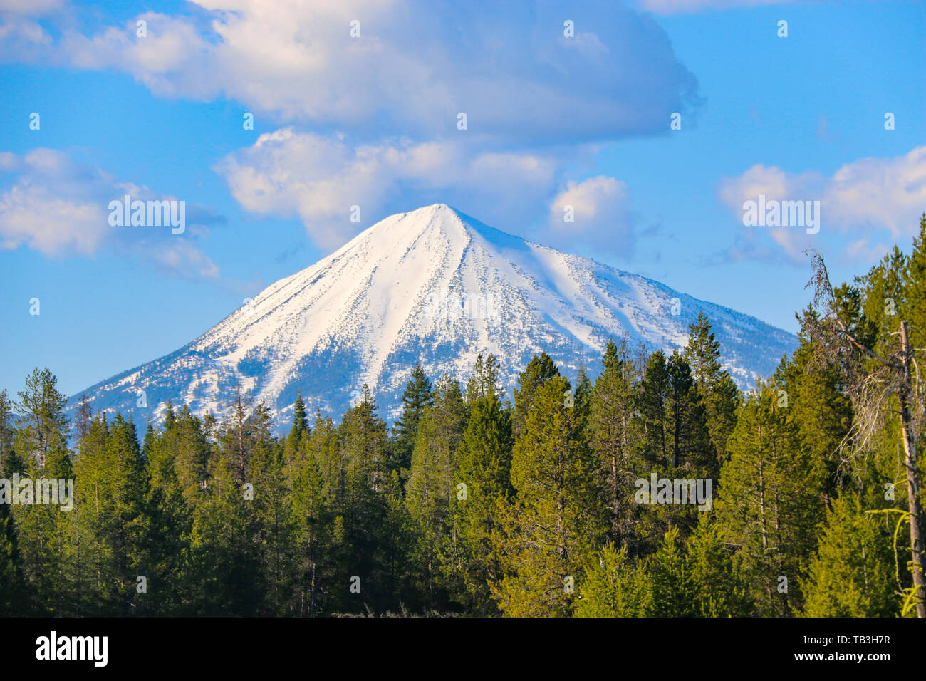 Le mont McLoughlin, Oregon, USA Banque D'Images