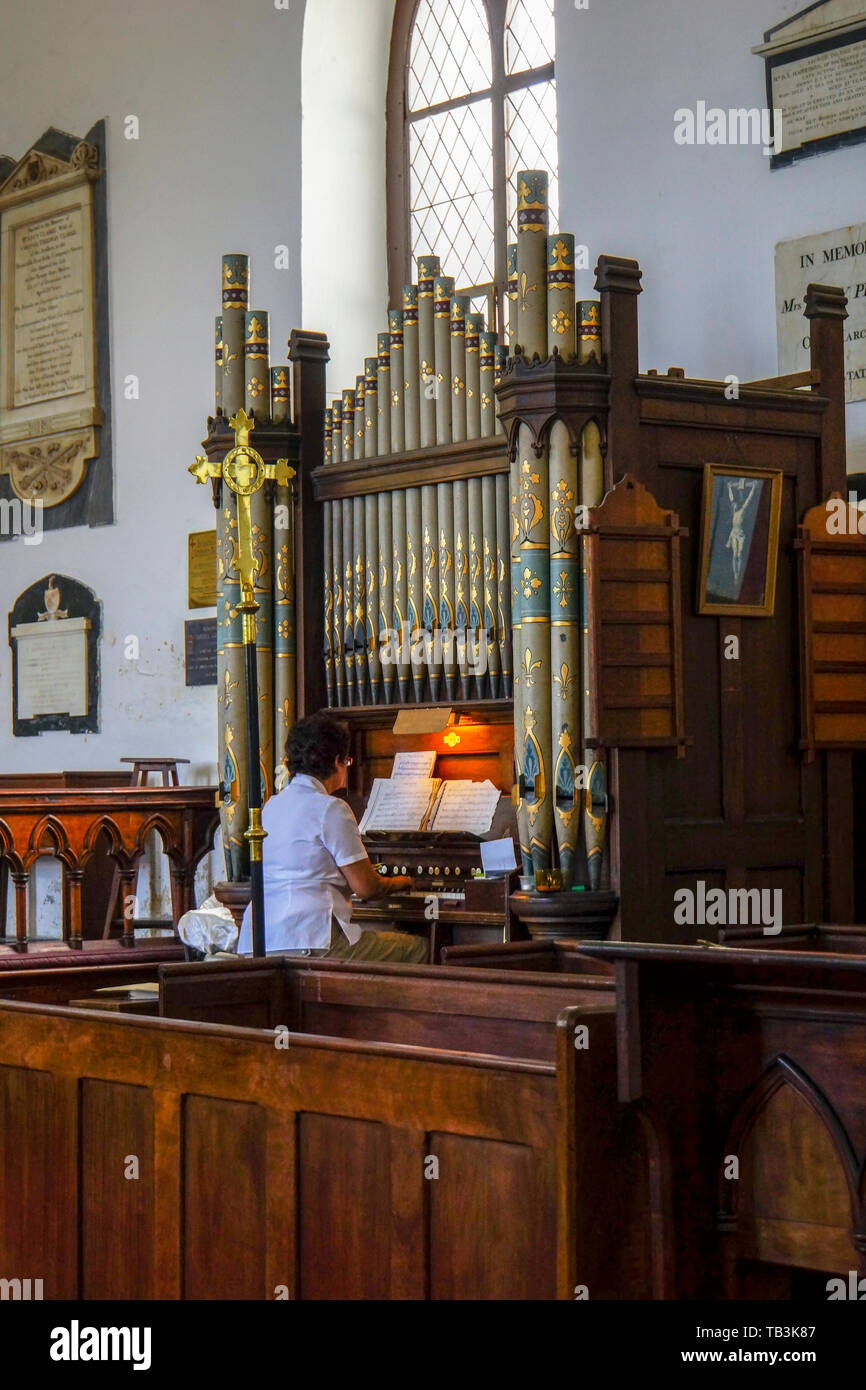 Une femme joue l'orgue à tuyaux à Saint Paul's Cathedral. L'île de Sainte-Hélène, BOT Banque D'Images