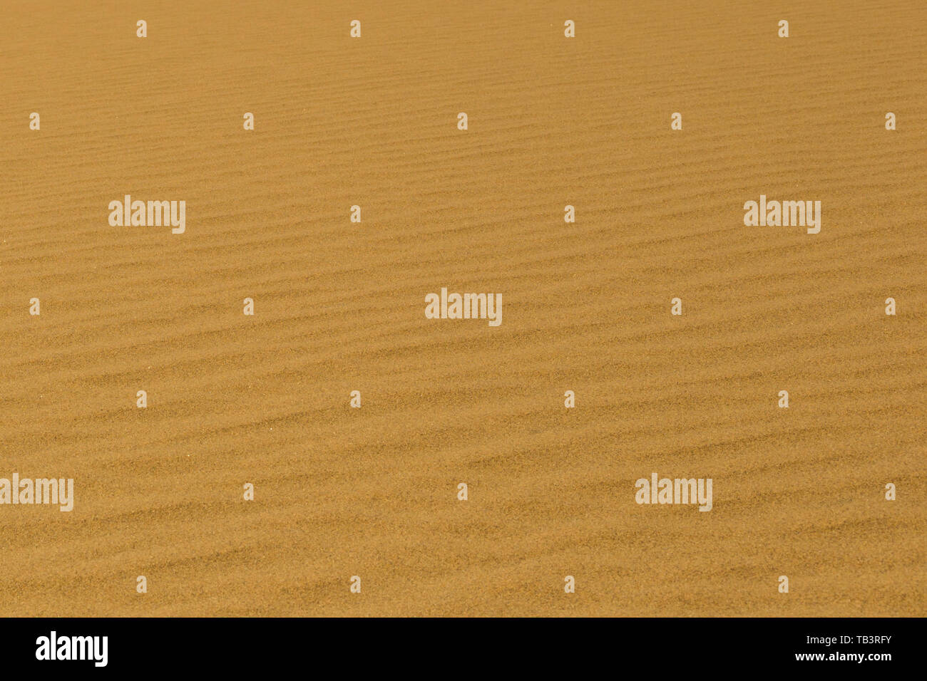 Close-up sillons naturels dans le sable de désert du Namib Banque D'Images