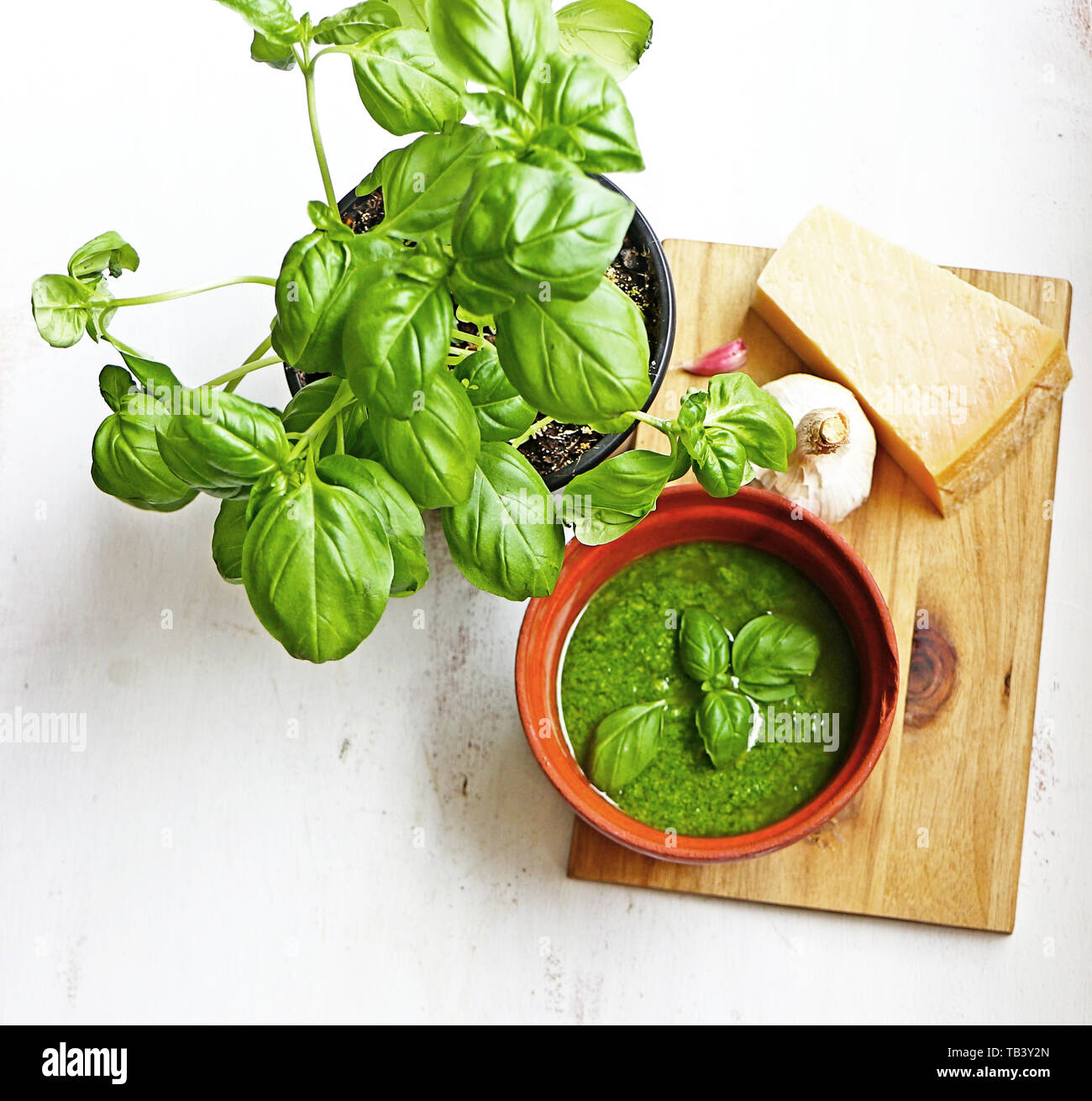 La cuisine méditerranéenne : sauce pesto Genovese fait maison avec les principaux ingrédients : feuilles fraîches de basilic, ail et Parmesan Banque D'Images
