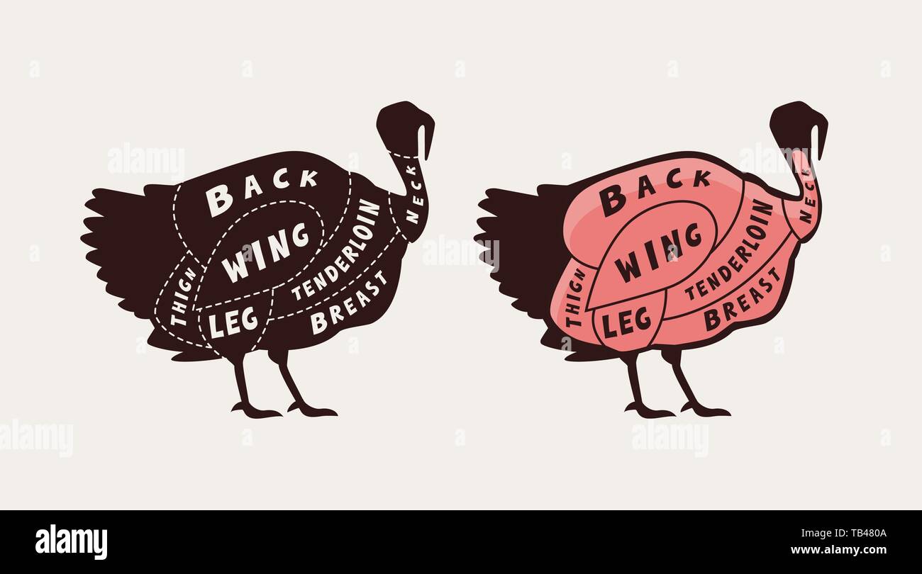 Guide de diagramme pour couper la viande, boucherie. Vecteur de la Turquie Illustration de Vecteur