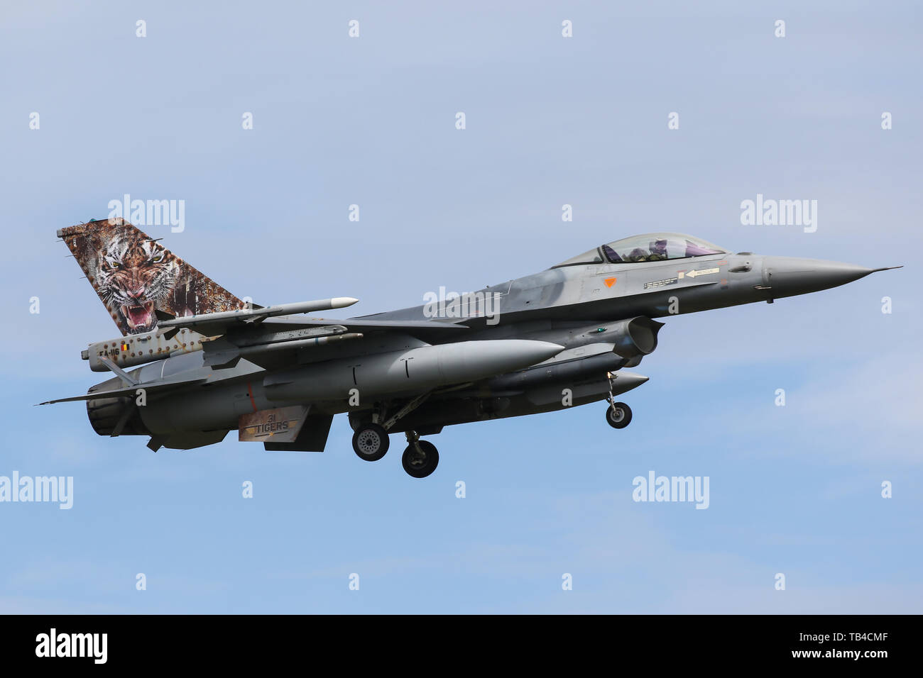 Un composant de l'air belge General Dynamics F-16 Fighting Falcon atterrit à Mont-de-Marsan Air Base au cours de l'exercice OTAN Tiger Meet 2019 Banque D'Images